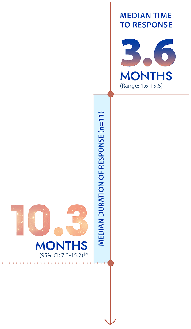 3.6 months  median time to response and 10.3 months median duration of response